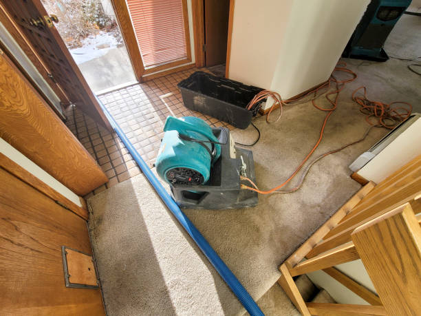 Professional Water damage restoration in Altoona, PA