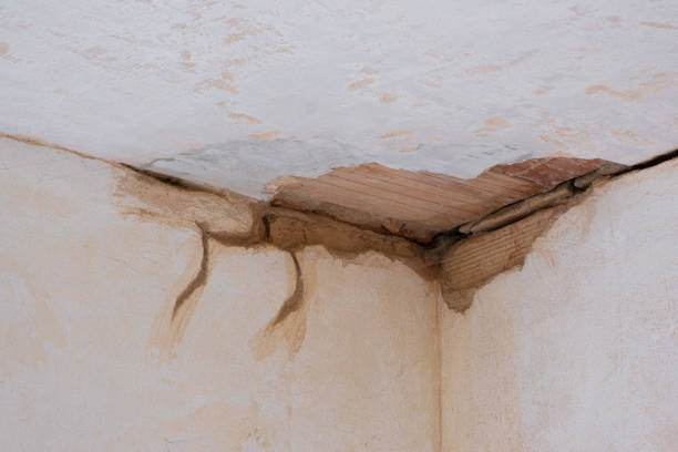 Best Water damage restoration near me  in Altoona, PA