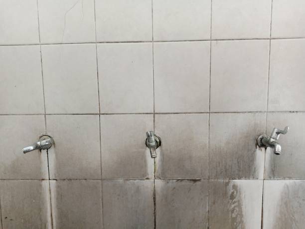 Best 24-hour water damage restoration  in Altoona, PA
